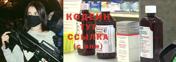 дурь Няндома