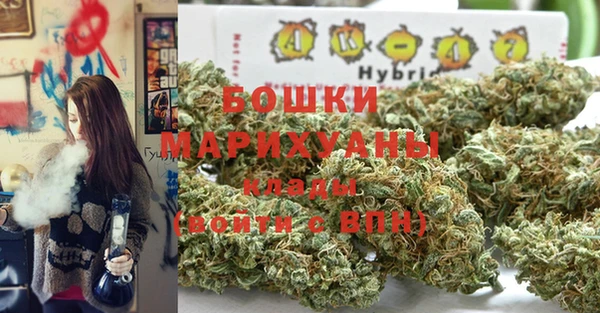 дурь Няндома