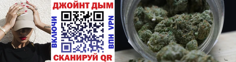 Бошки Шишки планчик  Иннополис 